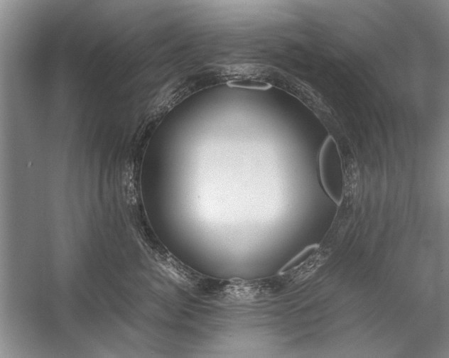 X0000057580764200509302138