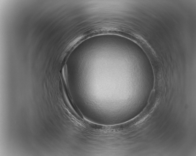 X0000057580785200509302137