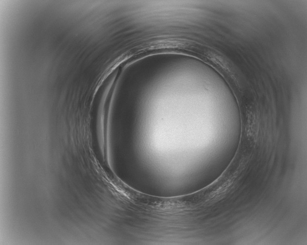X0000057580786200509302136