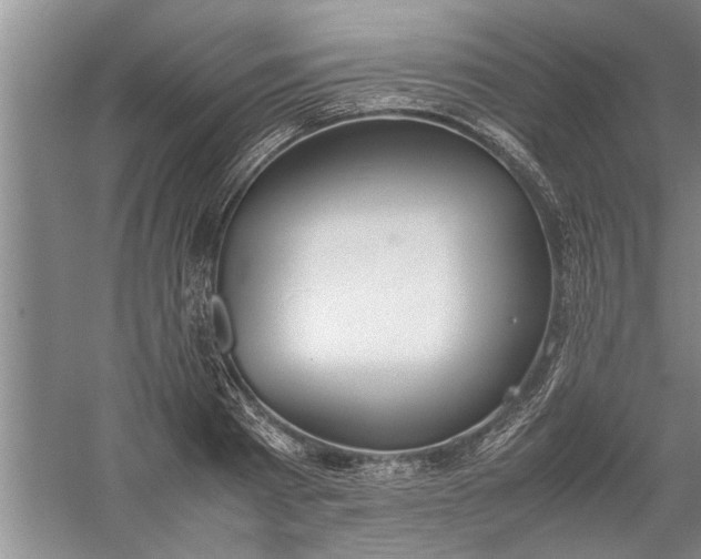 X0000057580793200509302136