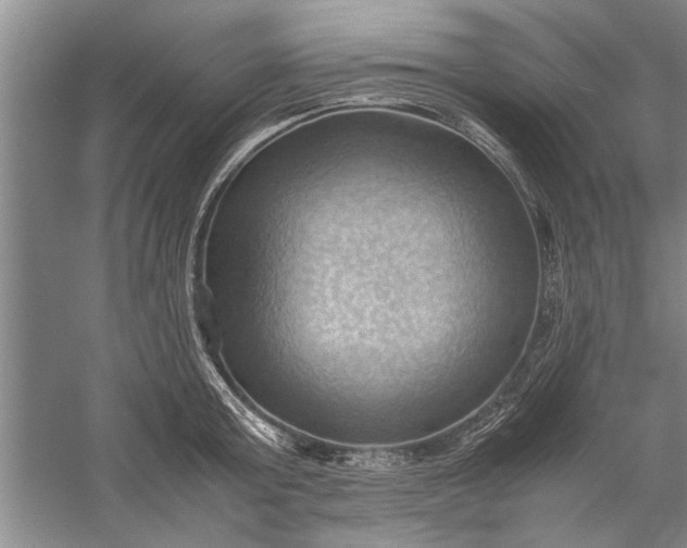 X0000057580803200509302136