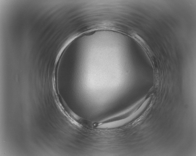 X0000057580812200509302136