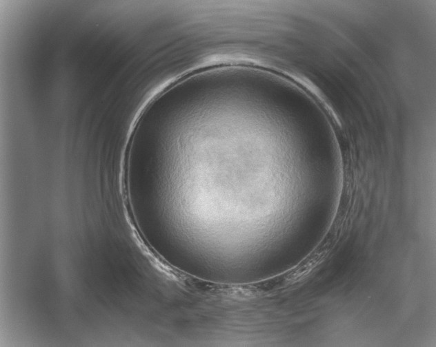 X0000057580815200509302136