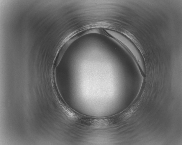 X0000057580850200509302136