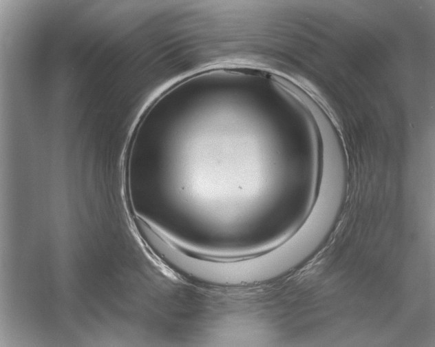X0000057580862200509302136