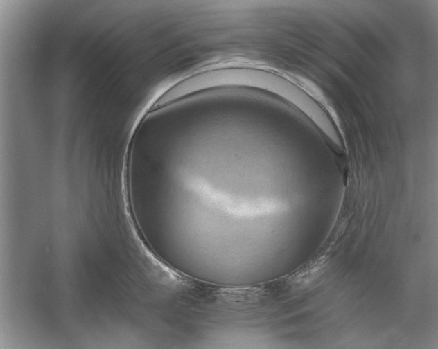 X0000057580863200509302136