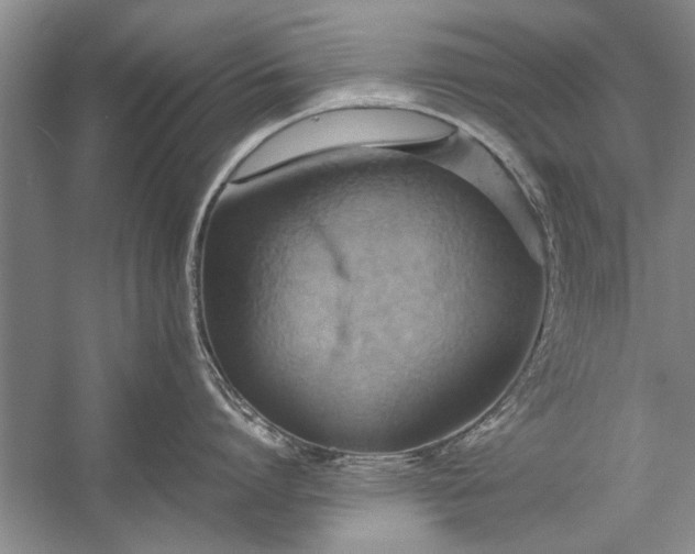X0000057580864200509302136