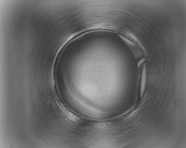 X0000057580892200509302135