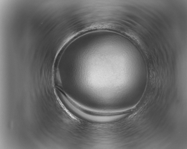 X0000057580894200509302135