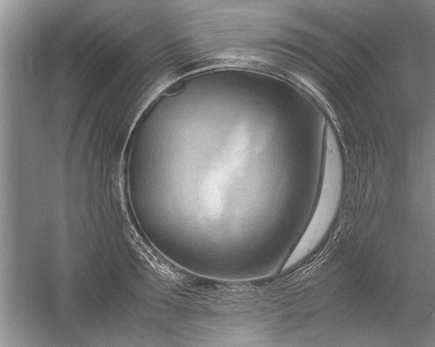 X0000057580899200509302135
