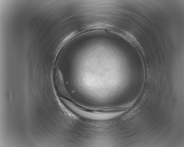 X0000057580946200509302134