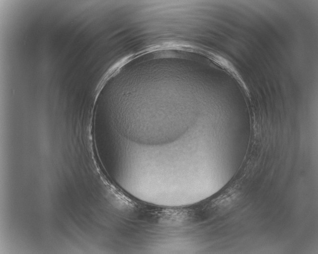 X0000057580954200509302134