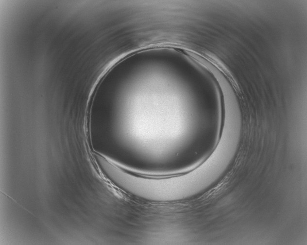 X0000057580956200509302134