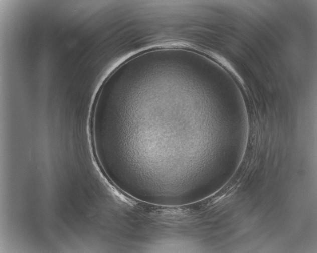 X0000057580959200509302134