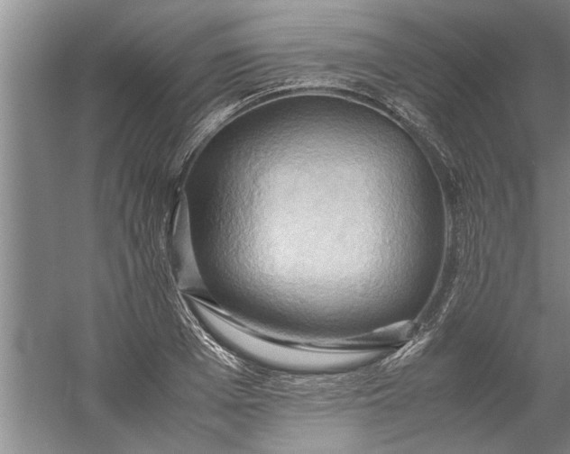 X0000057580985200509302133