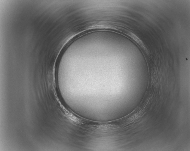 X0000057580988200509302133