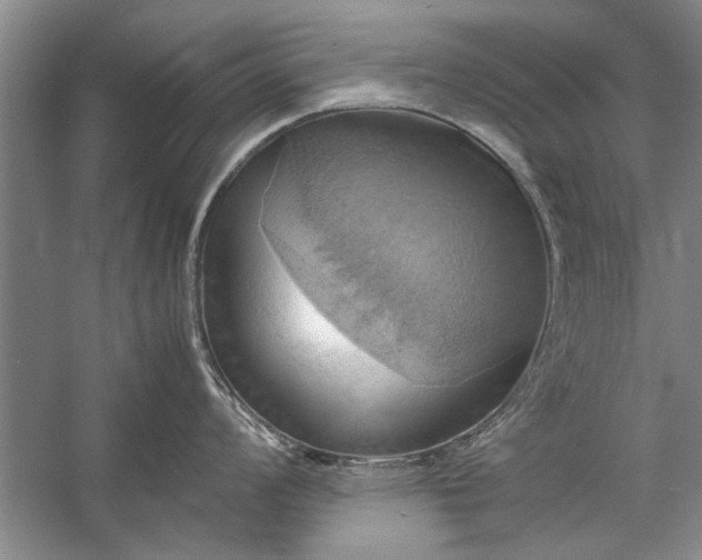 X0000057581008200509302133