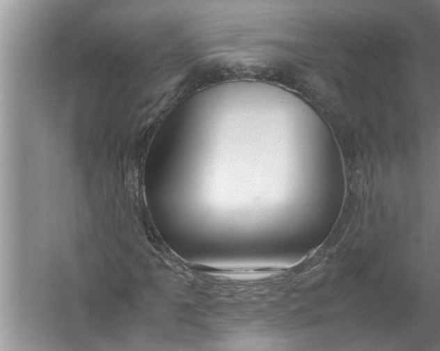 X0000057581061200509302132