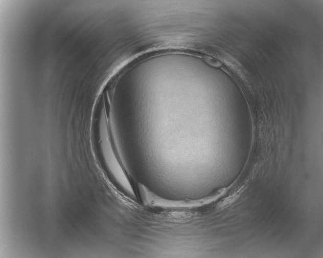 X0000057581077200509302132