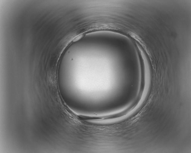 X0000057581089200509302131