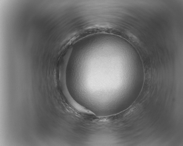 X0000057581110200509302130