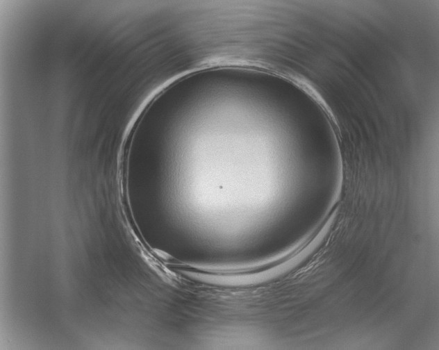 X0000057581148200509302131
