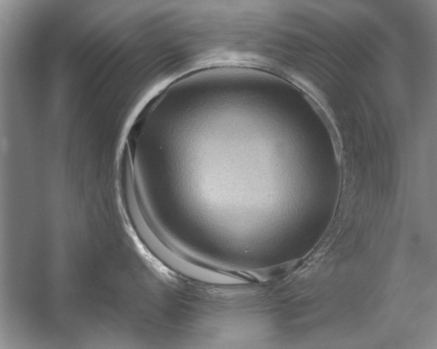 X0000057581152200509302131