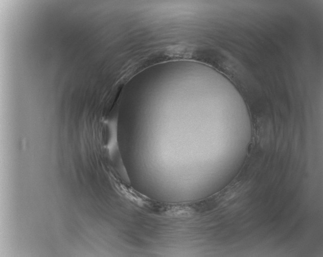 X0000057581154200509302130