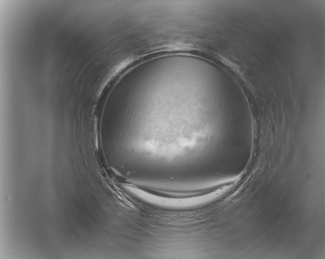 X0000057581171200509302130