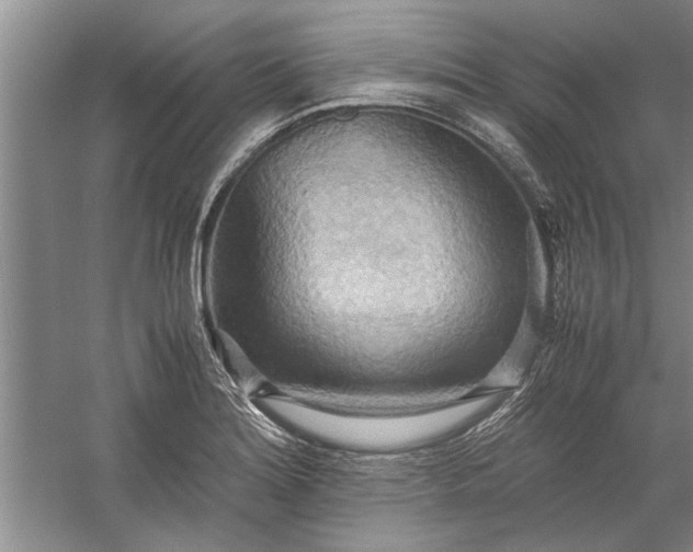X0000057581180200509302130