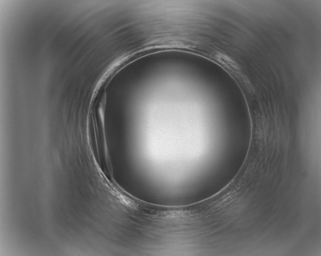 X0000057581188200509302130