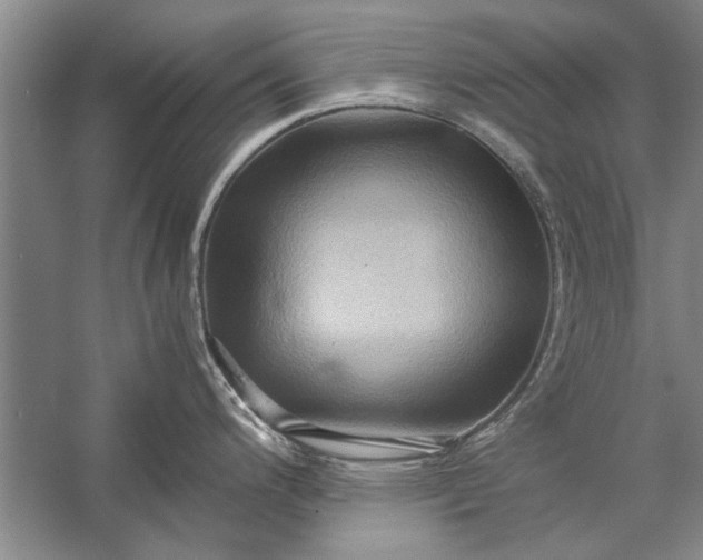 X0000057581200200509302129