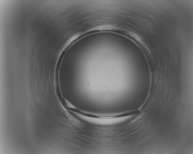 X0000057581229200509302129