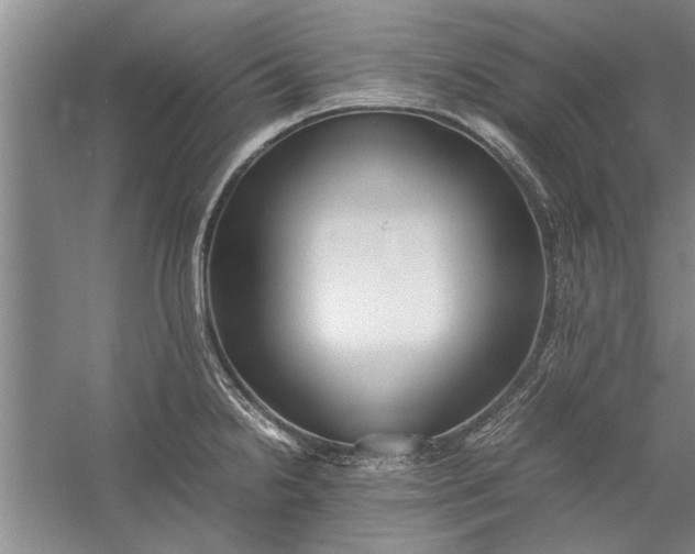 X0000057581238200509302129