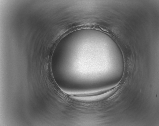 X0000057581257200509302129