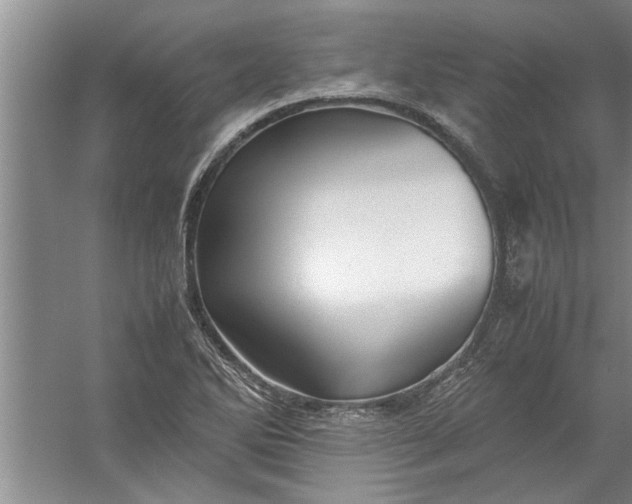 X0000057581270200509302128