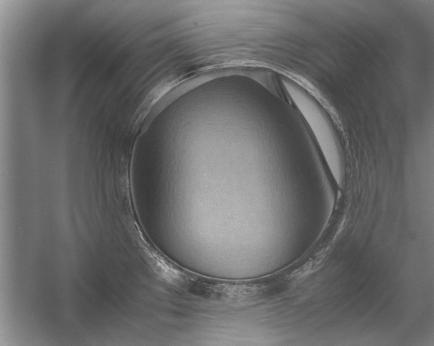 X0000057581289200509302128