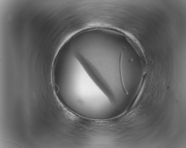 X0000057581295200509302128