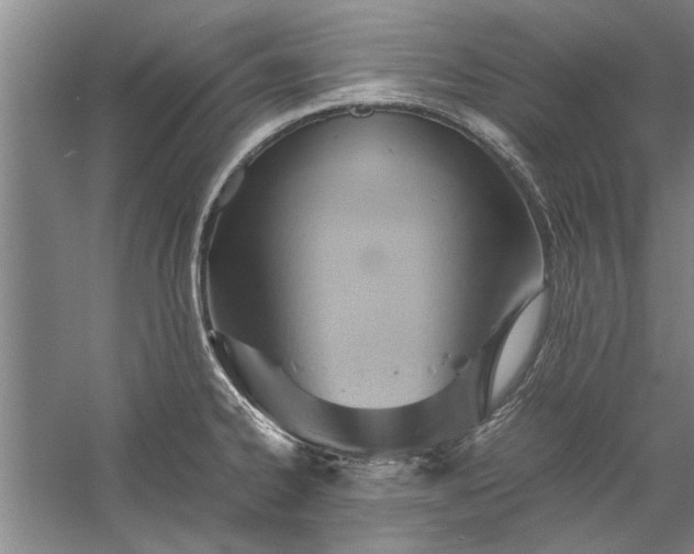 X0000057581334200509302128