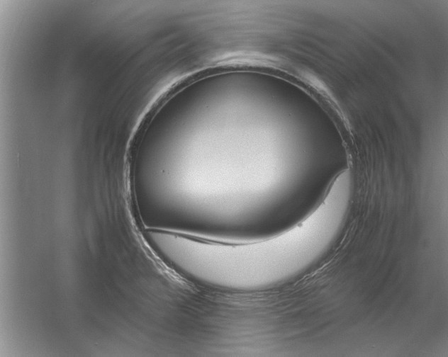 X0000057581376200509302127