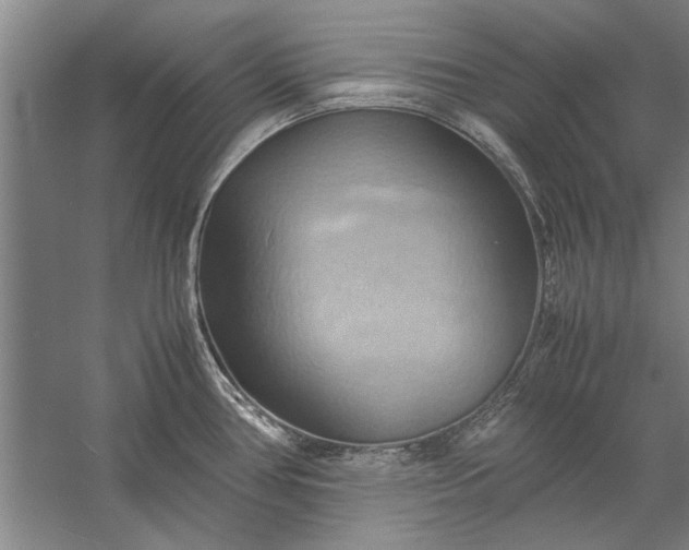 X0000057581386200509302126