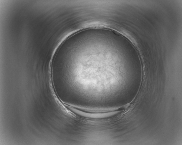 X0000057581392200509302126
