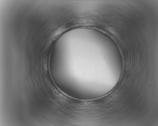 X0000057581451200509302125