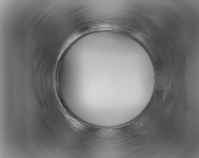 X0000057581474200509302125