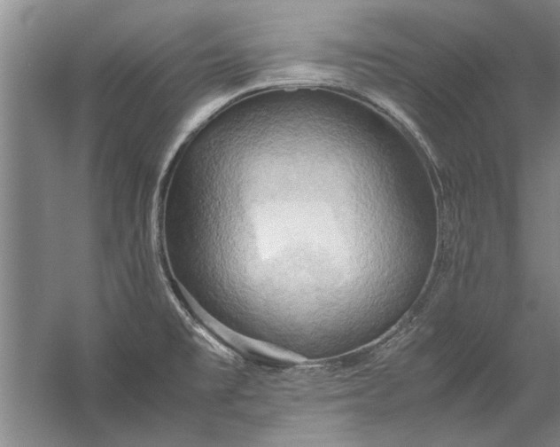 X0000057581477200509302125