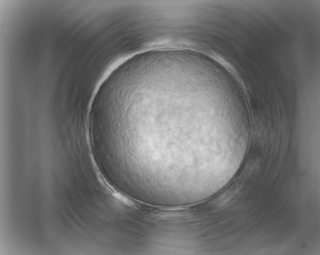 X0000057581486200509302125