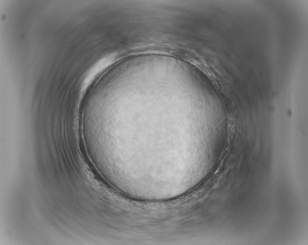 X0000057580006200510071621