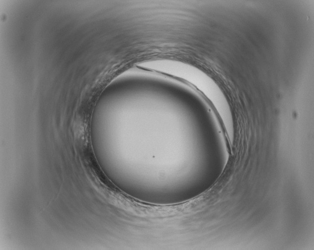 X0000057580031200510071621