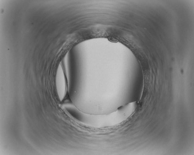 X0000057580035200510071621
