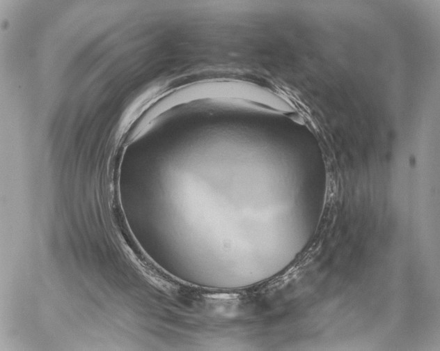 X0000057580053200510071620